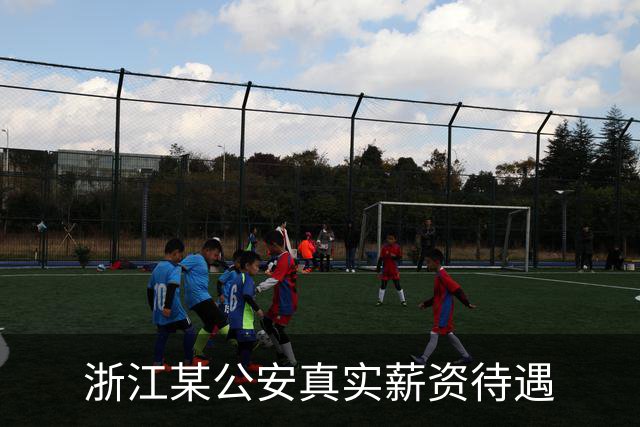 浙江某公安真实薪资待遇